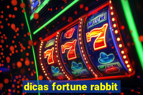 dicas fortune rabbit