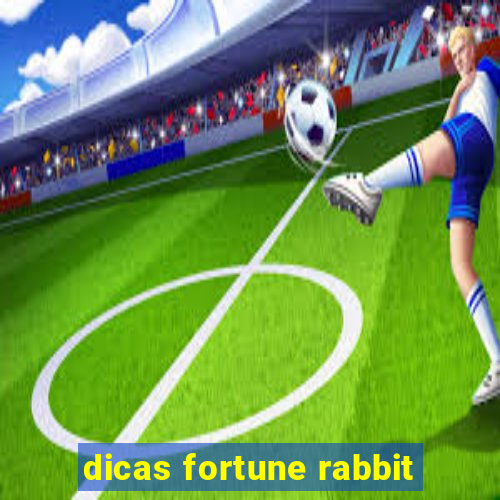 dicas fortune rabbit