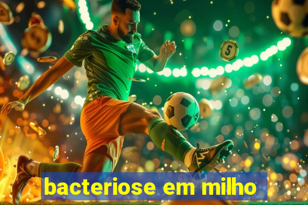 bacteriose em milho