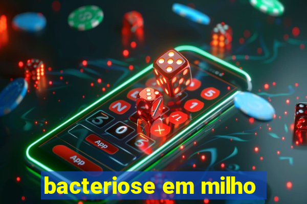 bacteriose em milho