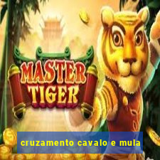 cruzamento cavalo e mula