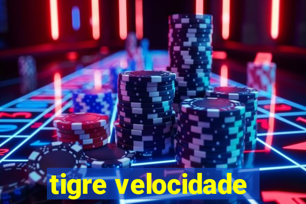 tigre velocidade