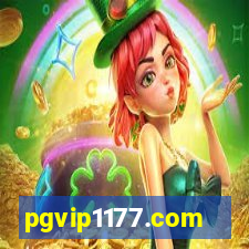 pgvip1177.com