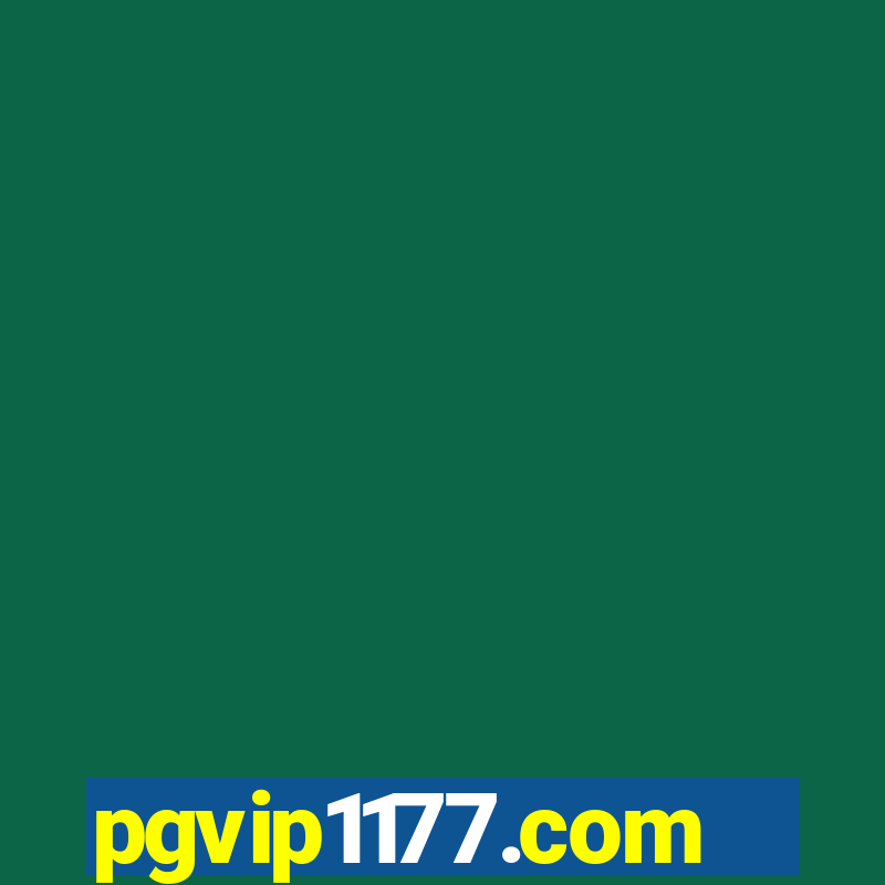 pgvip1177.com