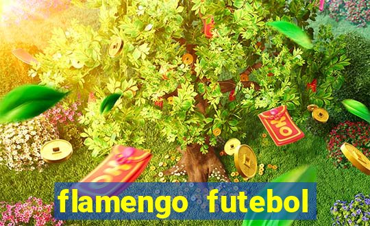 flamengo futebol play hd