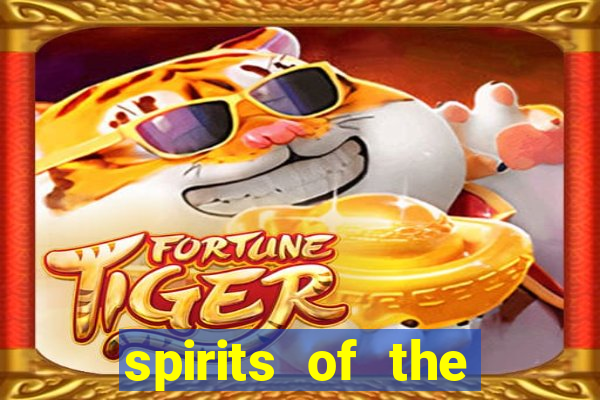 spirits of the storm slot free