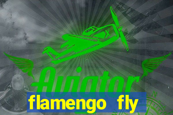 flamengo fly emirates ultimas noticias