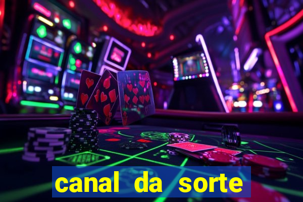 canal da sorte bingo de hoje