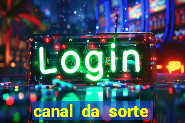 canal da sorte bingo de hoje