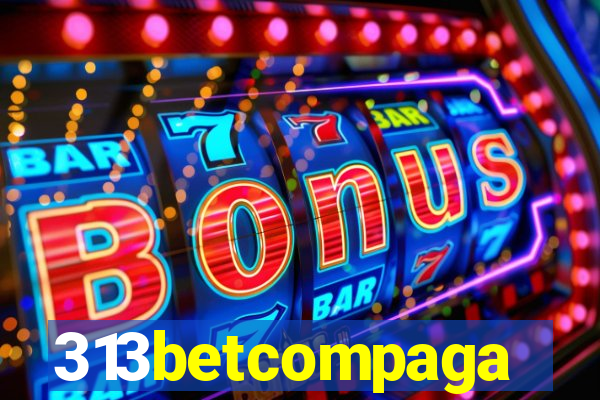 313betcompaga