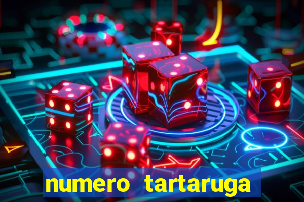 numero tartaruga jogo do bicho