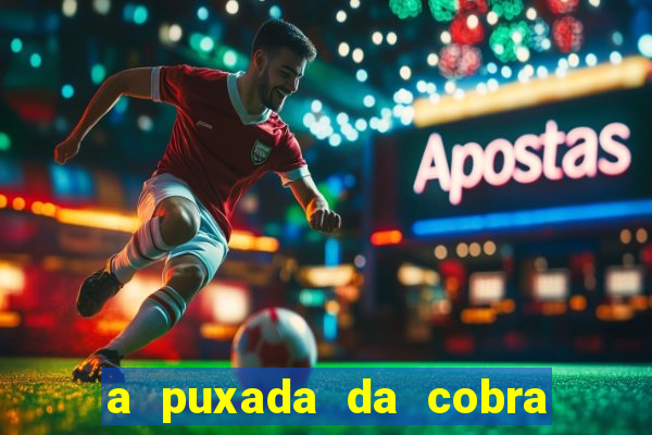 a puxada da cobra no jogo do bicho