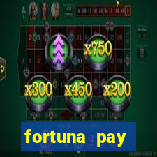 fortuna pay consultoria financeira ltda