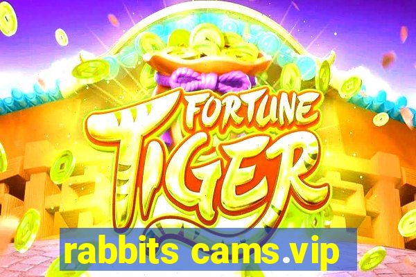 rabbits cams.vip