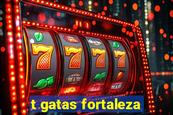 t gatas fortaleza