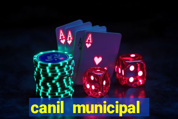 canil municipal porto alegre