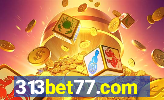 313bet77.com