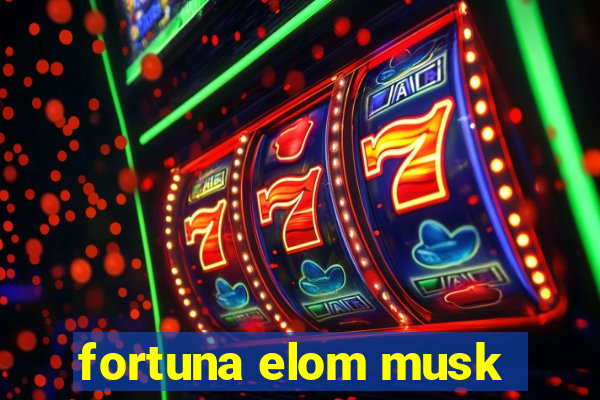 fortuna elom musk