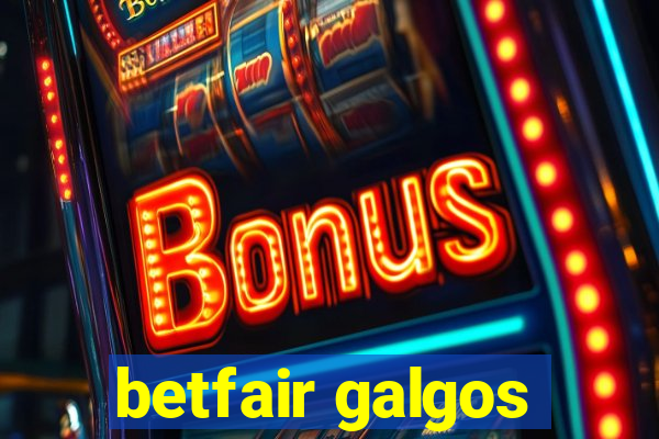 betfair galgos