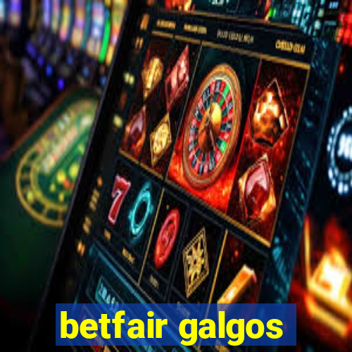 betfair galgos