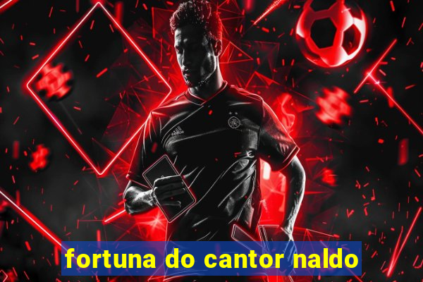 fortuna do cantor naldo