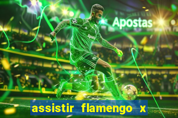 assistir flamengo x corinthians ao vivo multicanais