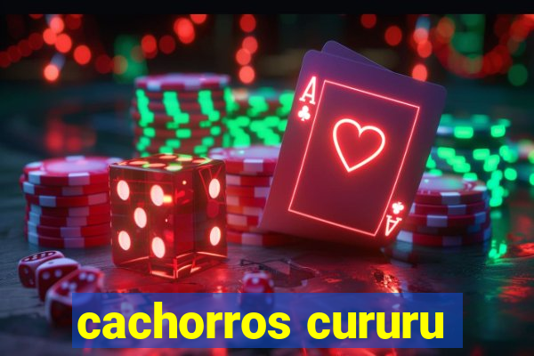 cachorros cururu