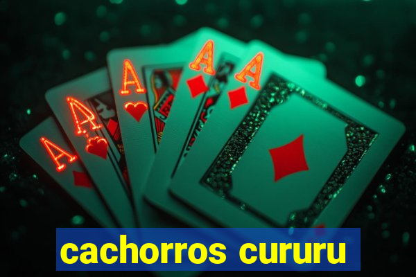 cachorros cururu