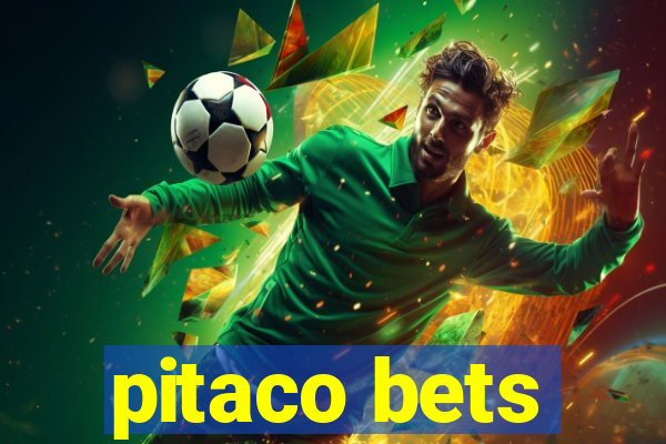 pitaco bets