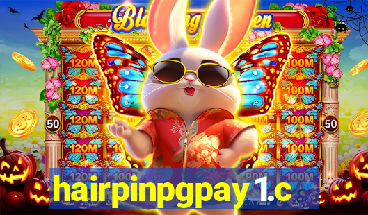 hairpinpgpay1.com