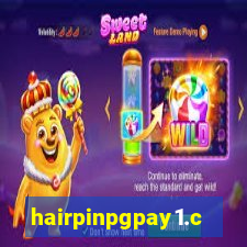 hairpinpgpay1.com