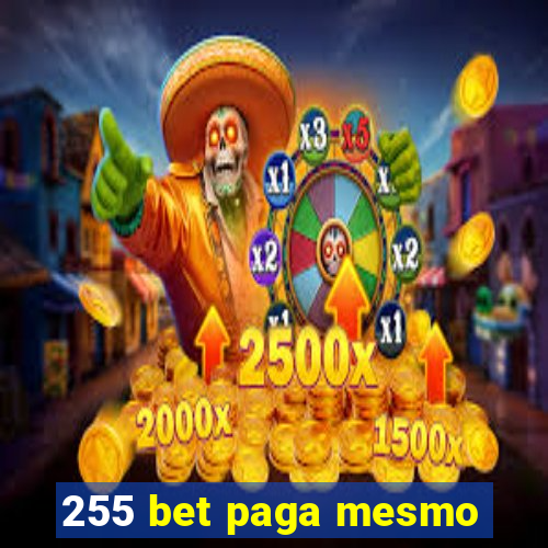 255 bet paga mesmo