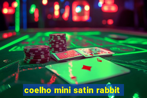 coelho mini satin rabbit