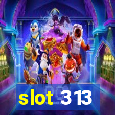 slot 313