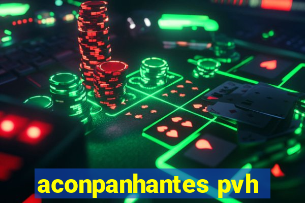 aconpanhantes pvh