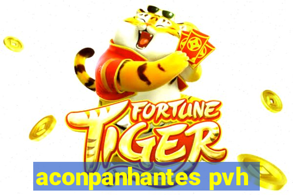 aconpanhantes pvh