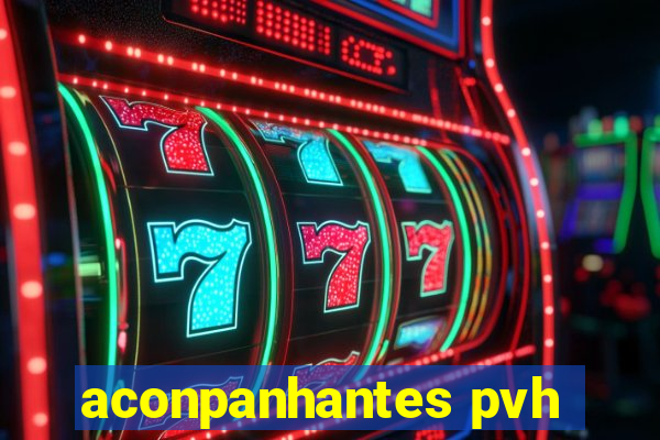 aconpanhantes pvh