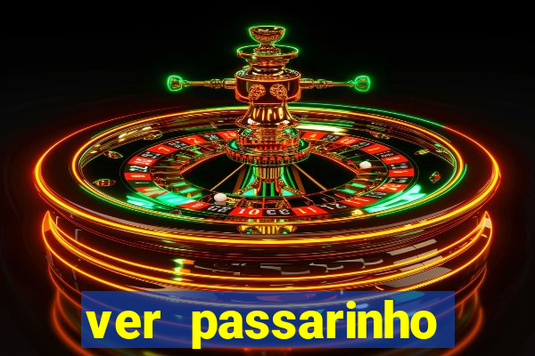 ver passarinho morto significado espiritual