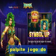 palpite jogo do bicho e loterias da caixa