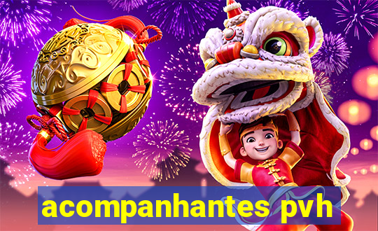 acompanhantes pvh