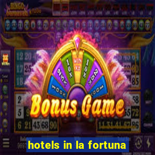 hotels in la fortuna