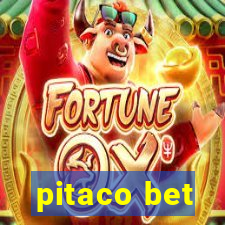 pitaco bet