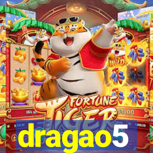 dragao5