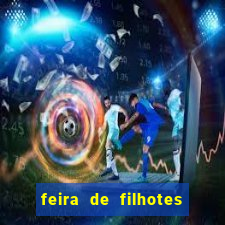 feira de filhotes porto alegre