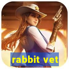 rabbit vet