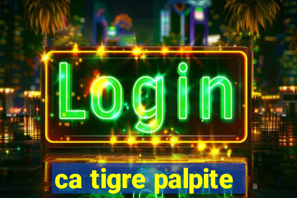 ca tigre palpite