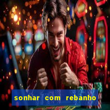 sonhar com rebanho de gado jogo do bicho