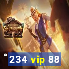 234 vip 88