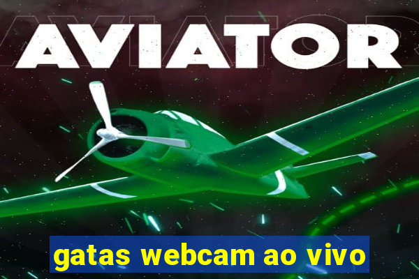 gatas webcam ao vivo