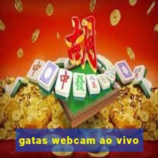 gatas webcam ao vivo